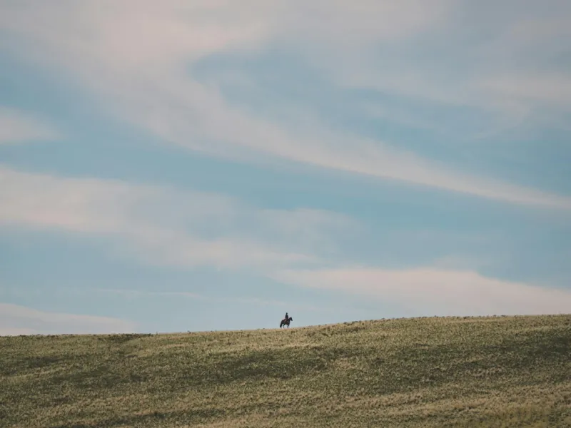 Cattle Calls to Championship Calls: The Ranch Hand Who Revolutionized NFL Scouting