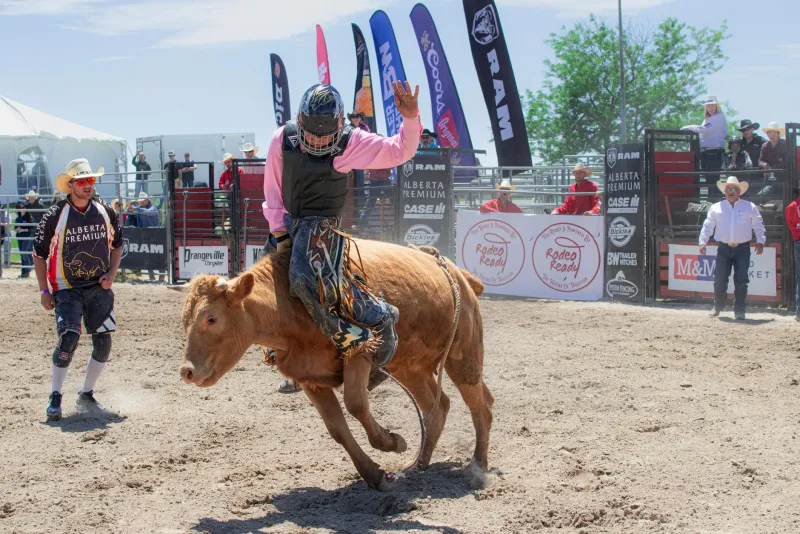 From Bull Dodger to Brain Surgeon: The Cowboy Who Traded Dirt for Diplomas